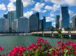 Miami'de konut yatırımı yapılan şehir merkezindeki gökdelenlerin sahilden görünümü