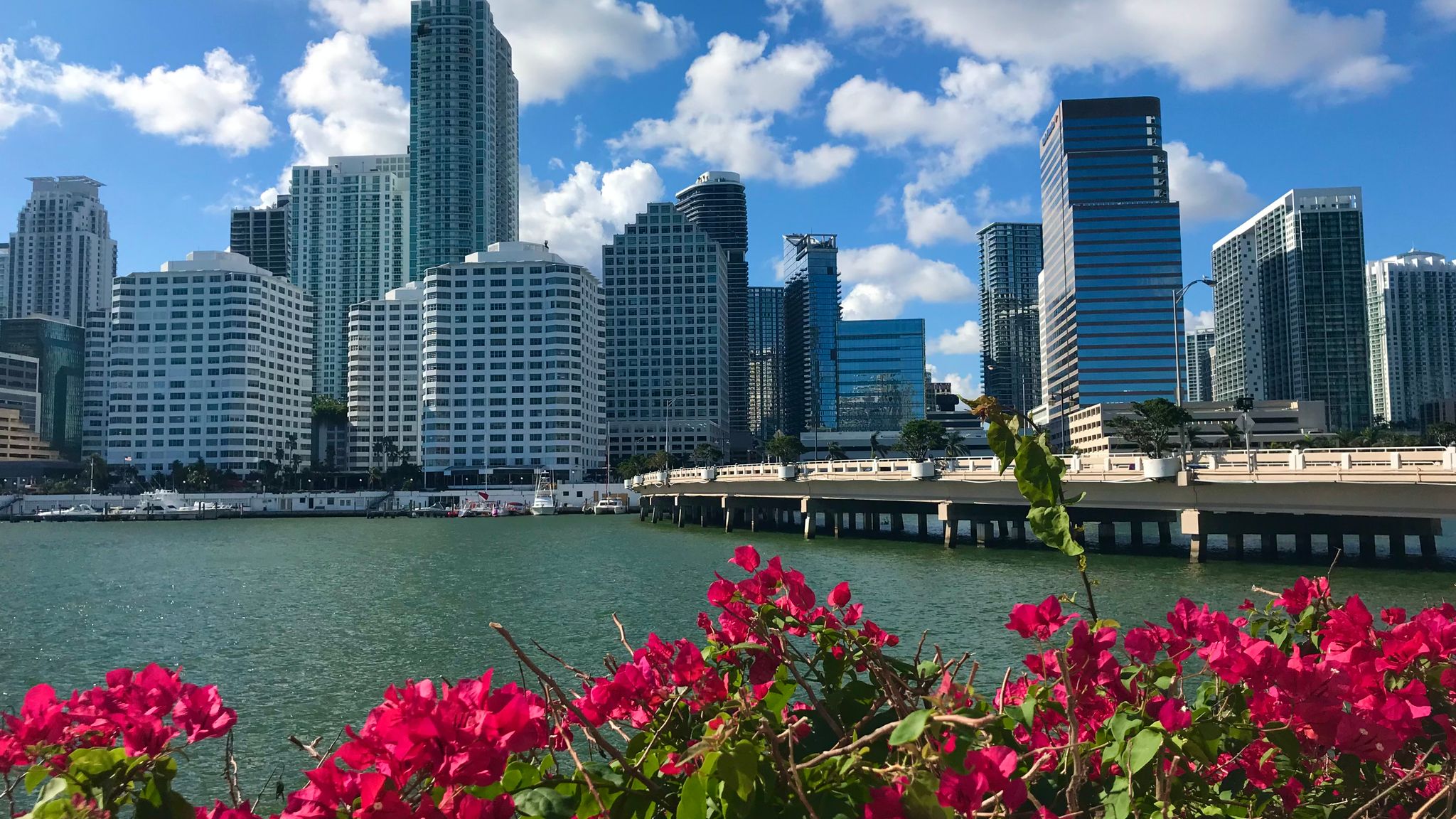 Miami'de konut yatırımı yapılan şehir merkezindeki gökdelenlerin sahilden görünümü