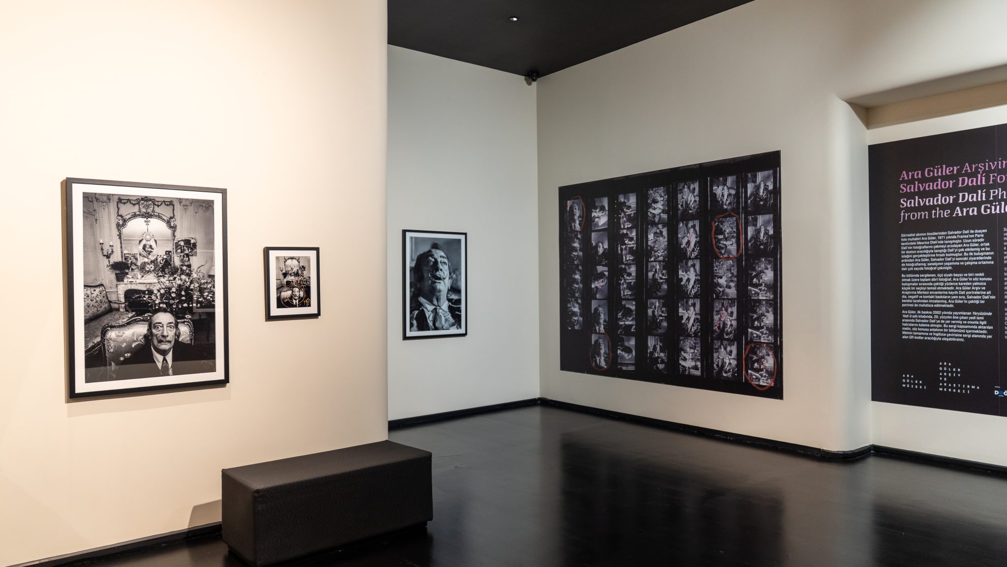 Ara Güler'in 1971'de çektiği Salvador Dalí fotoğraflarının sergilendiği bölüm