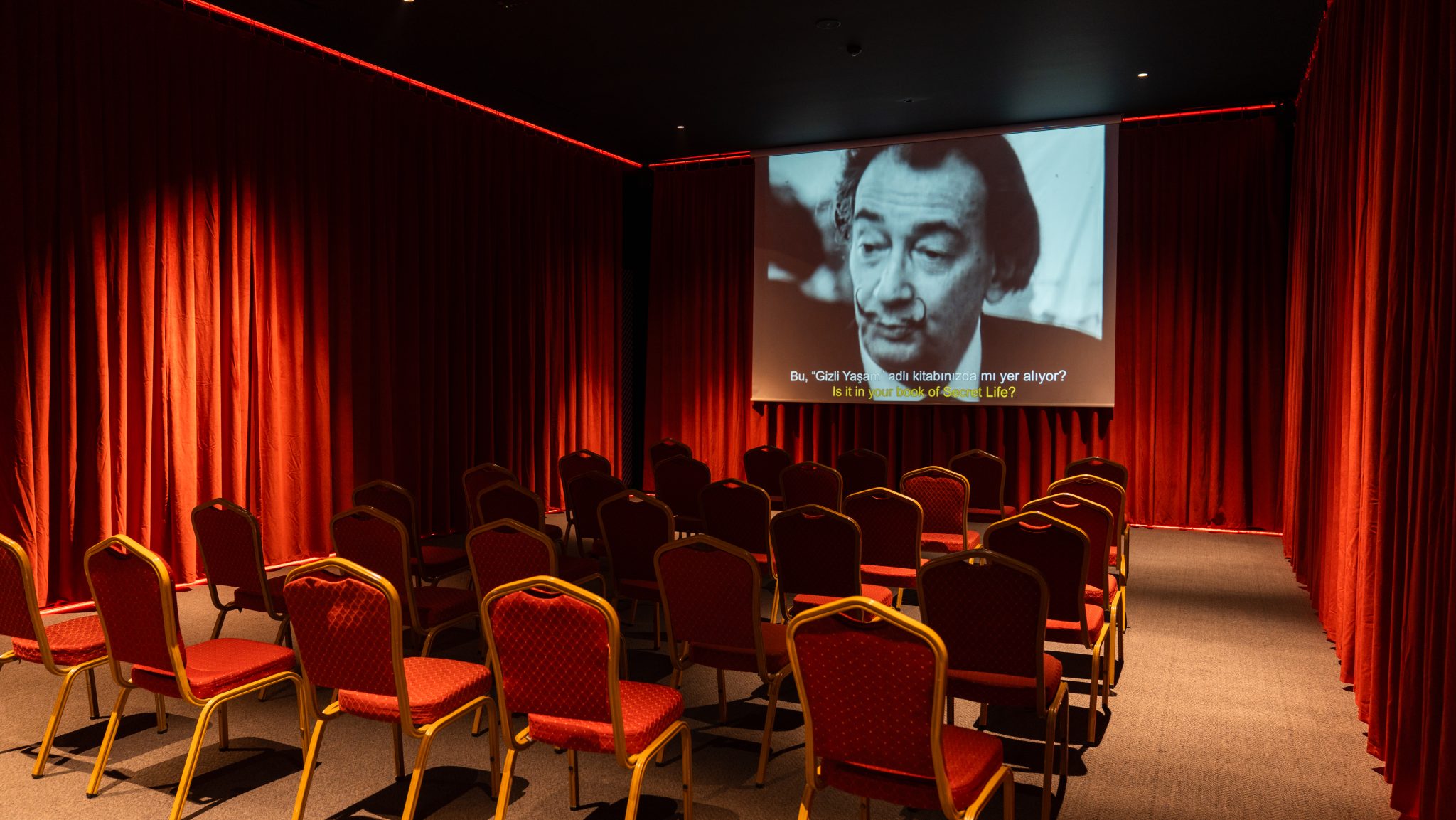 Dalí Cybernetics sergisinin Sinema Odası