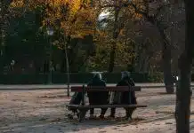 Yaşlanan nüfus Türkiye’yi dönüştürüyor: Grileşen topluma hazır mıyız? Yaşlanan nüfus: Sonbaharda parkta bankta oturan iki kişi
