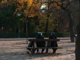 Yaşlanan nüfus: Sonbaharda parkta bankta oturan iki kişi